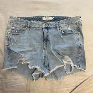 Torrid shorts, size 16